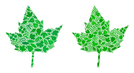 Nature currant leaf icon composition of floral leaves in green and natural color tinges. Ecological environment vector concept for currant leaf icon.