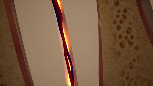 Toothache. Anatomical detailed section of the teeth. Nerve inflammation. 3D animation