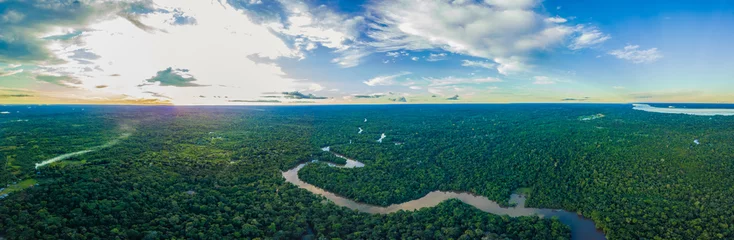 Foto op Canvas Morning in the Amazon Rainforest © William Huang