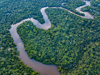 The Amazon River in the tropical rainforest