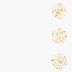 Gold Rain Holiday Transparent Background. Paper