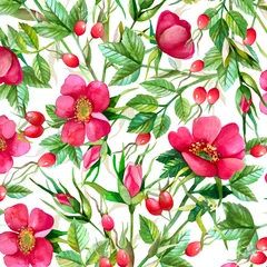 Fototapeten Bright watercolor painted wild rose pattern © Olga