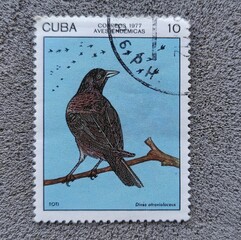 Cuba 1977, correos aves endemicas, marki Dives Atrovialaceus