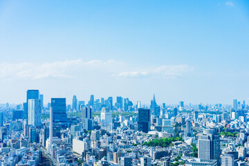 Landscape of central Tokyo - obrazy, fototapety, plakaty