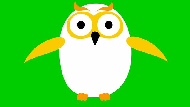 Animated funny white owl flies. Looped video. Vector illustration isolated on a green background.