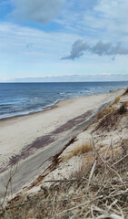 Coast of the Baltic Sea. Curonian Spit, Kaliningrad region, Russia. Beach.