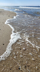 Coast of the Baltic Sea. Curonian Spit, Kaliningrad region, Russia.