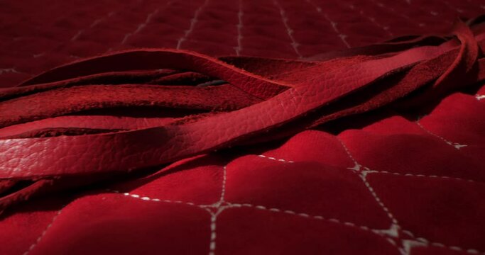 detailed, extreme close-up of a red whip on a red blanket