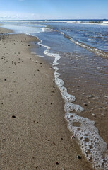 Coast of the Baltic Sea. Curonian Spit, Kaliningrad region, Russia.