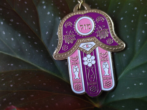 hamsa hand amulet (hand of Fatima or hand of Miriam) on a background of dark green leaves closeup