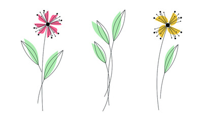 Abstract contour flowers set isolated on white. Minimal botanical vector illustration. Floral bundle, decor, ornament, design element for print, pattern or card.