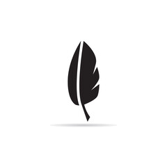 feather on white background vector illustration