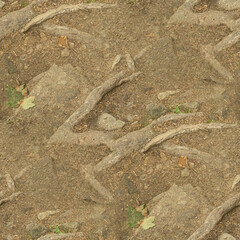 texture of roots, seamless forest textures. 