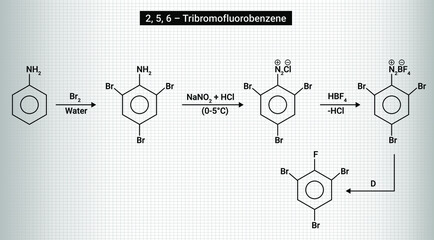 Aniline reaction with bromine water, followed by sodium nitrite gives 2,4,6- tribromodiazoniumchloride - obrazy, fototapety, plakaty