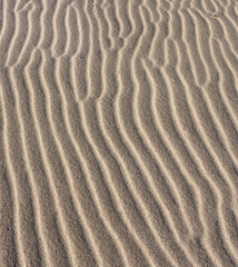 Sand dune ripples