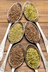 Dry herbs and fennel seeds in metal spoons.