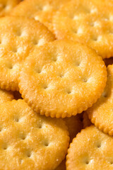 Salty Crispy Round Crackers