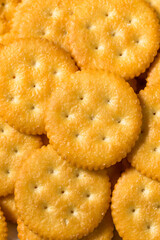 Salty Crispy Round Crackers