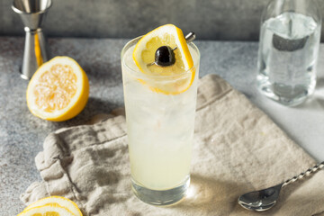 Boozy Refreshing Tom Collins Cocktail