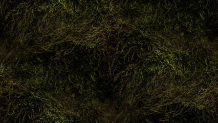 moss texture, seamless forest textures. 