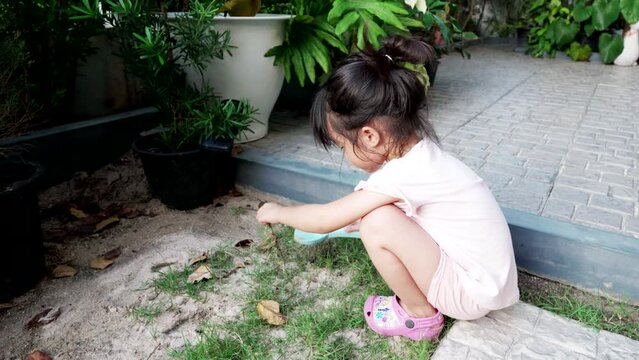 Little girl try grow grass or plant on ground ,pour some soil on grass,fuuny play in evening during in summer time at home.