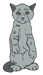 Vector illustration of kitten standing on hind legs. Hand drawn cat colored and depicted by a line.