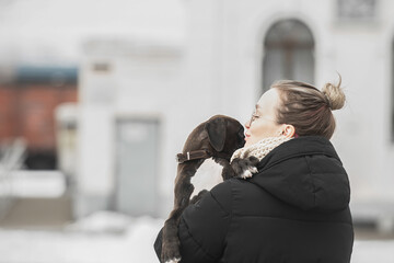 In the arms of a young woman, her beloved German boxer puppy, she pressed him to her for a walk in the winter season. The concept of love and trust between people and dogs