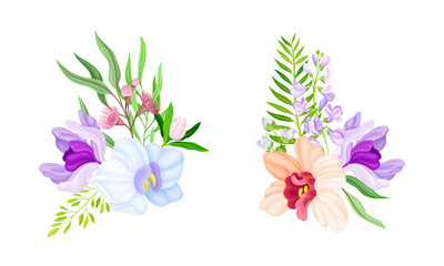 Beautiful tropical exotic flowers and leaves set. Floral composition with tropical plants for card, wedding invitation, decor element vector illustration