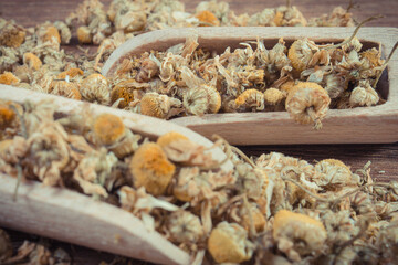 Healthy chamomile containing vitamins and minerals. Herbalism and alternative medicine
