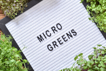 Felt board close-up with letters with the inscription micro greens