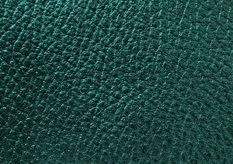 Green skin texture with abstract pattern of folds and veins, background