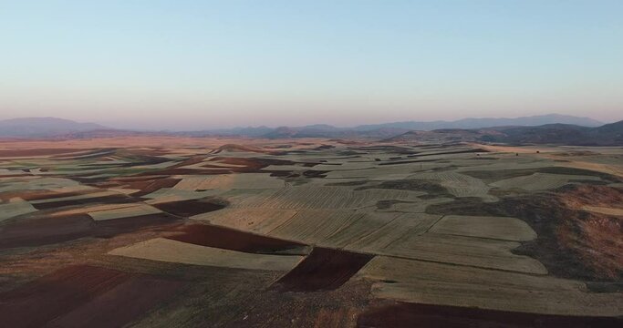 drone view of wheat fields at evening