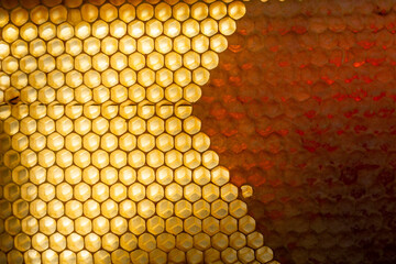 Background texture and pattern of a section of wax honeycomb from a bee hive filled with golden...