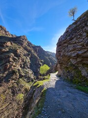 Senderos en la montaña para la practica del senderismo 