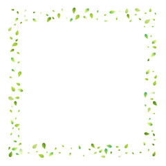 Fototapeta premium Leaves Green Falling Flying Foliage Leaf Tea Mint