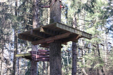 rope trail in belarusian forest