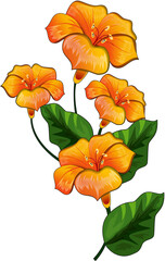 orange flower isolated on white background