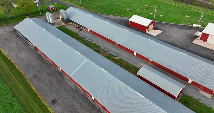 Red chicken poultry house barns for birds. Aerial pullback reveal of green rural farm fields in spring season.