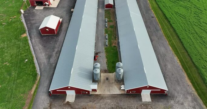 Farm rural chicken house barns for poultry birds. Red buildings. Aerial tilt up reveal of green fields and surrounding rural farmland.