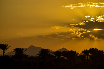 Golden tropical sunset over silhouette of palm trees and mountains. Sun's rays break through clouds. Magnificent landscape, beauty in nature. Copy space.