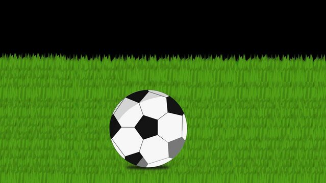 soccer ball rotates on grass until it remains motionless on the right side
