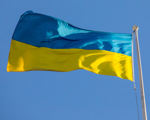 Ukraine Flag