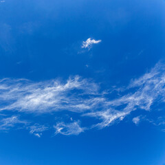 Fototapeta na wymiar daytime blue sky with wind scattered white cirrus clouds as a natural backdrop