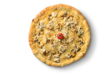 Pizza with mushrooms and cheese, Ukrainian cuisine. Photo of food on a white background