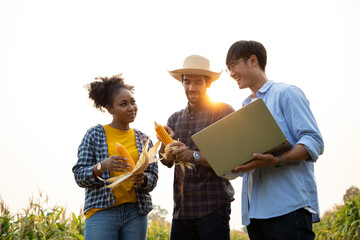 Diversity group of farmers are discussing in the corn field, using a labtop for learning and investment. Two men and one woman. Team work in agribusiness outside. © krumanop