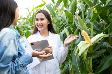 Asian biotechnologist holding tablet for research with farmer to breed species of corn in organic farm. Good quality products. Remember growing plant in field.