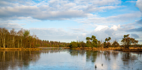 Obraz premium wide angle forest landscape with water, blue sky and clouds