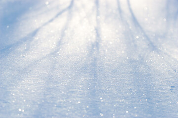 Obraz premium Light shadows across sparkling snow