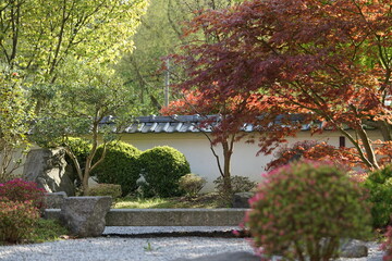 Japan Garden