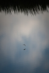 Campamento Oasis Desierto Ica Peru